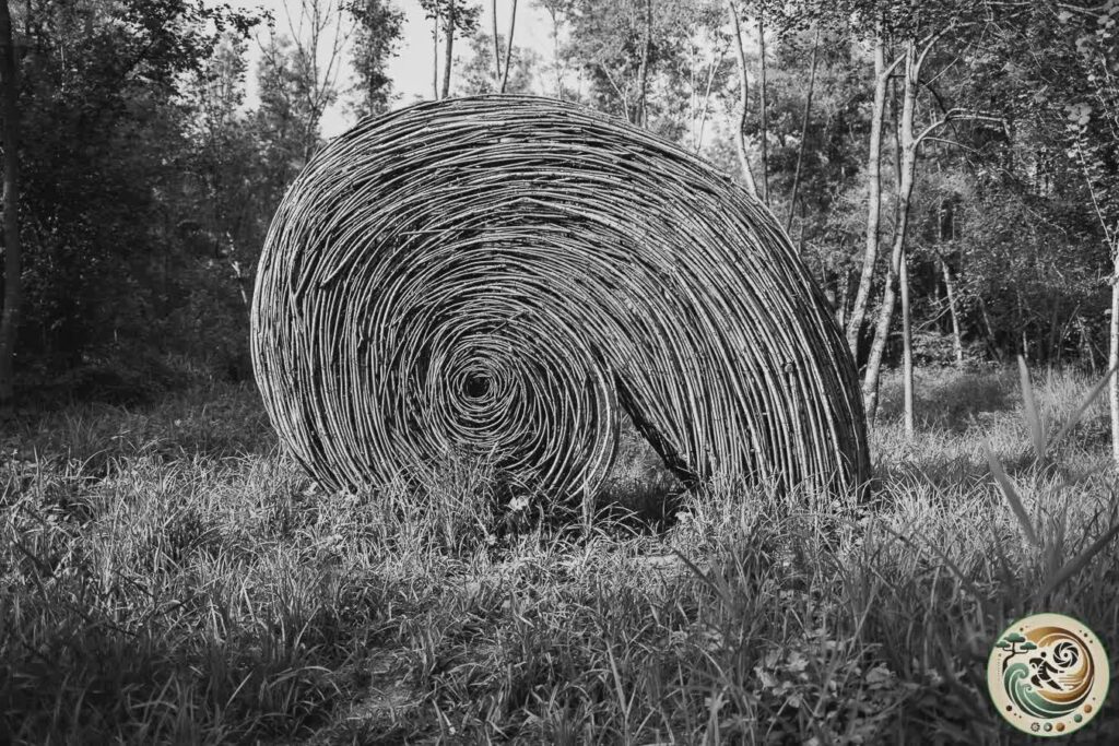 chiocciola: opera di landart dell'oasi naturalistica del lago di santa croce