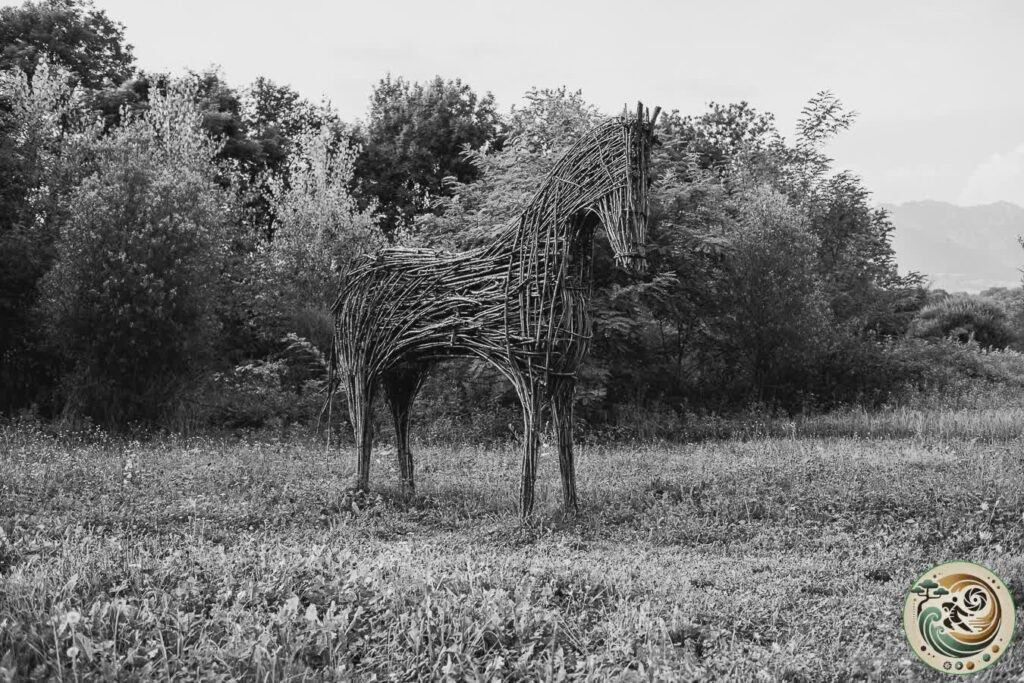 cavallo: opera di landart dell'oasi naturalistica del lago di santa croce