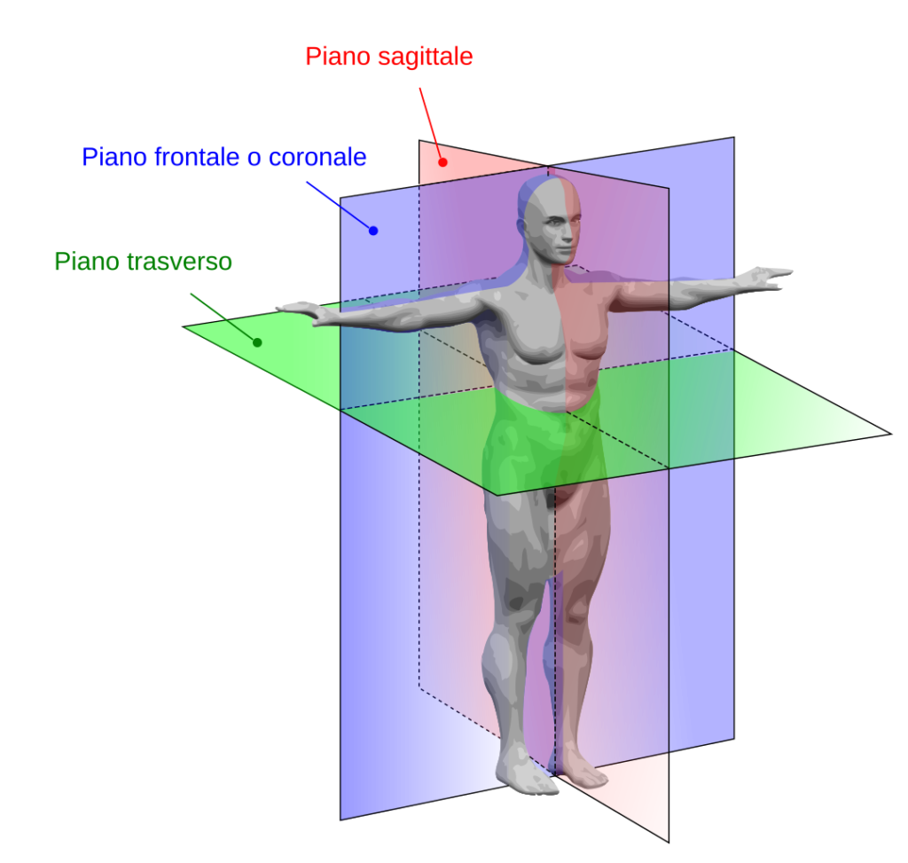 i piani anatomici su wikicommons