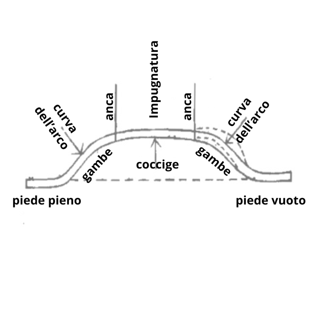 elementi interessati dalla forza peng si esprime nell'arco delle gambe