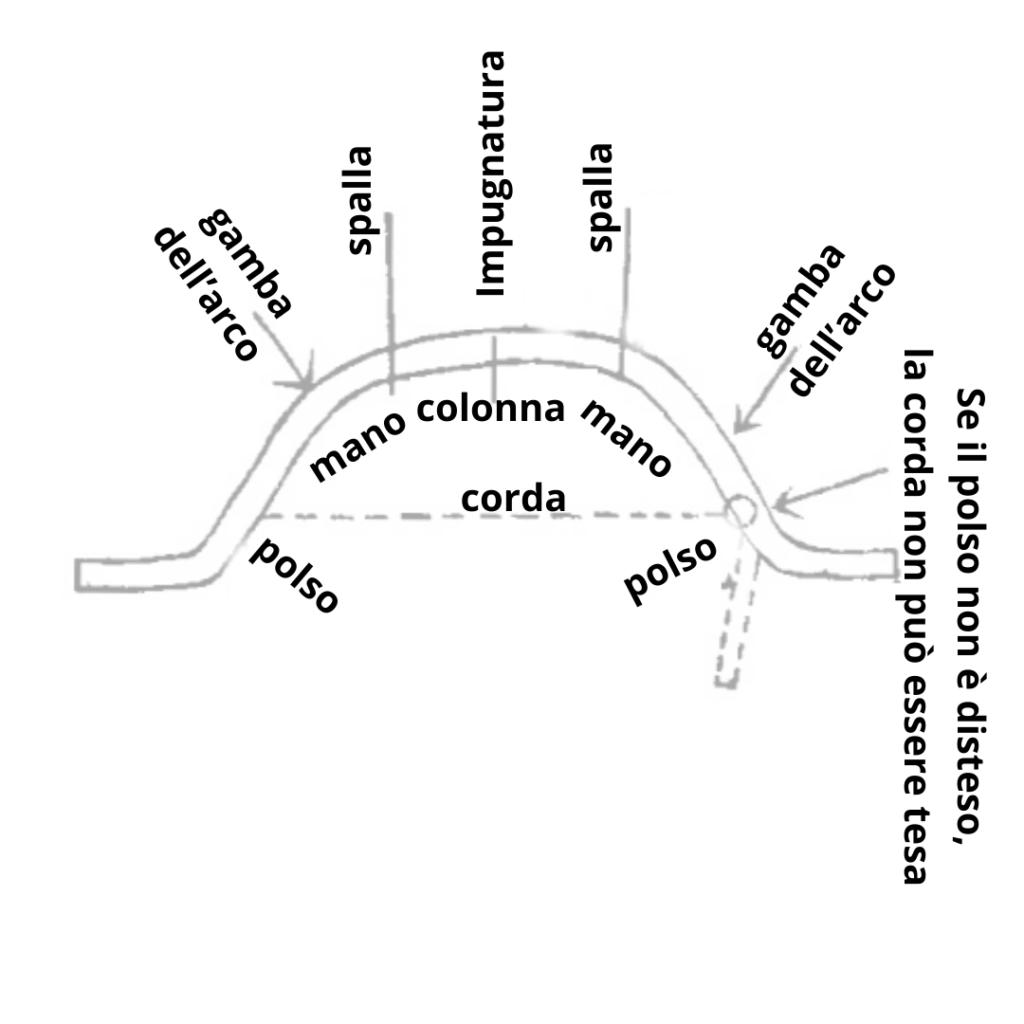 come la forza peng si esprime nell'arco delle braccia